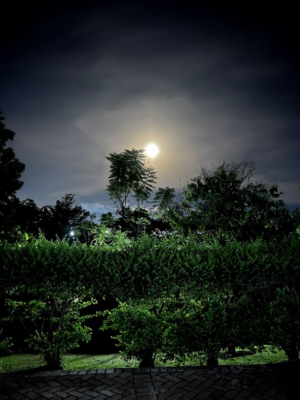 06_moonrise-on-campus